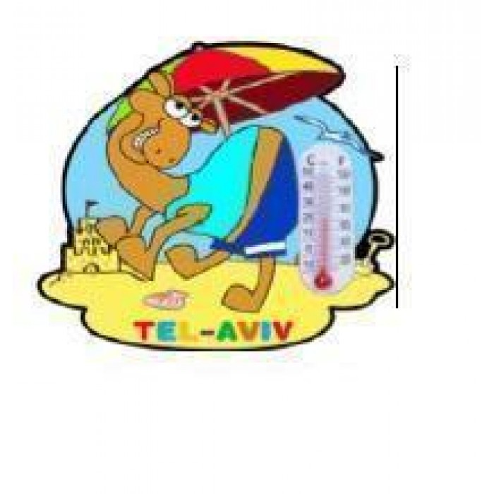 Silicon Camel Magnet with Tel Aviv and Beach Scene
