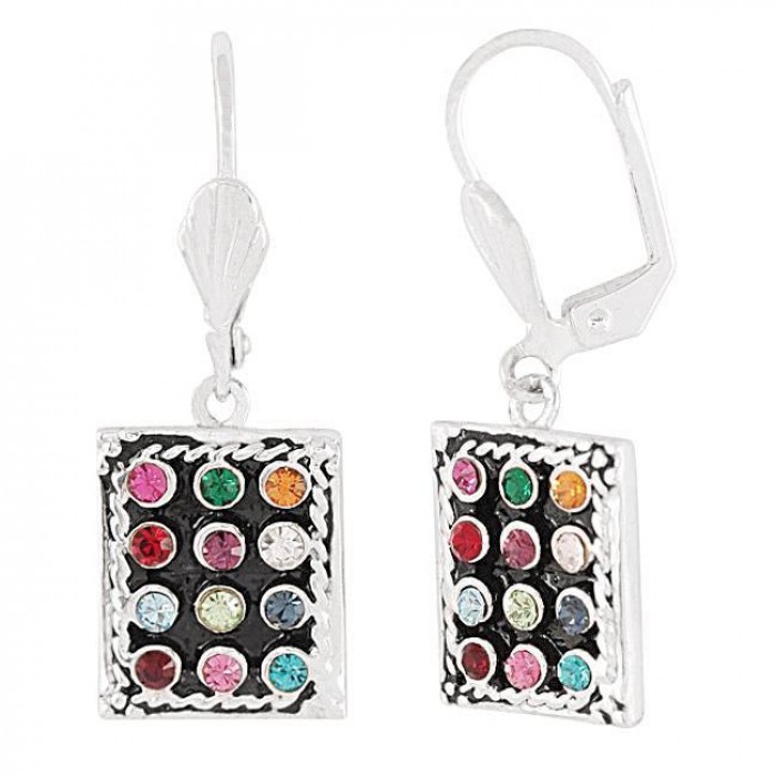 Hoshen Earrings in Dark Rhodium Plated with Decorative Frame