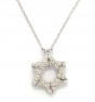 Necklace with Zircon Star of David in Rhodium Plated