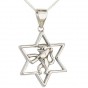 Pendant with Lion in Star of David